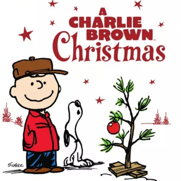 Peanuts Charlie Brown Kneeling With Tree Hallmark Ornament - Picture 3 of 16